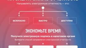 Что означает дублирующее заявление в Едим Дома