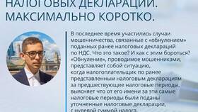 Что такое декларация в обществознании в Едим Дома