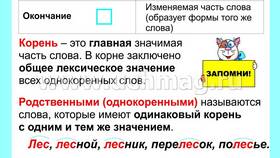 Что такое корень, приставка, суффикс, окончание и основа слова в Едим Дома