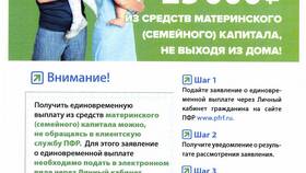 Что такое ПФР в Госуслугах и как пользоваться сервисом в Едим Дома