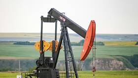Что такое Татнефть в Едим Дома