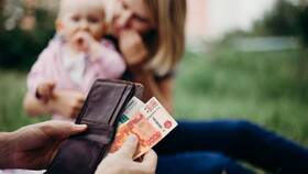 Как оформить алименты через Госуслуги в Едим Дома