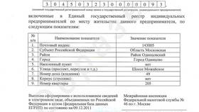 Как получить свидетельство ИП в Едим Дома