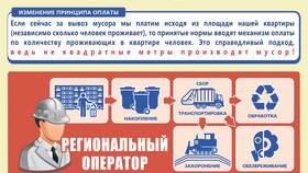 Как производят выплаты: механизмы и порядок осуществления в Едим Дома