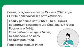 Когда выдается СНИЛС и что для этого нужно в Едим Дома