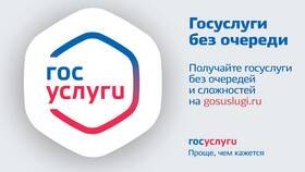 Почему сейчас не работают Госуслуги в Едим Дома