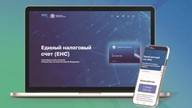 Положительное сальдо ЕНС: что это