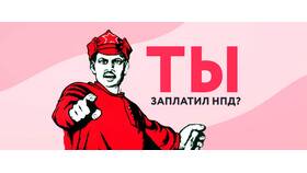 Штраф ФНС: что делать в Едим Дома