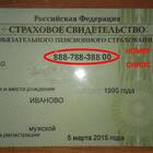 Как посмотреть свой СНИЛС в интернете
